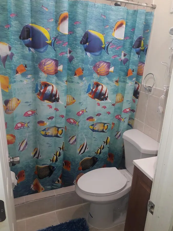 Studio And 1 Bedroom Apartments - Bronx New York